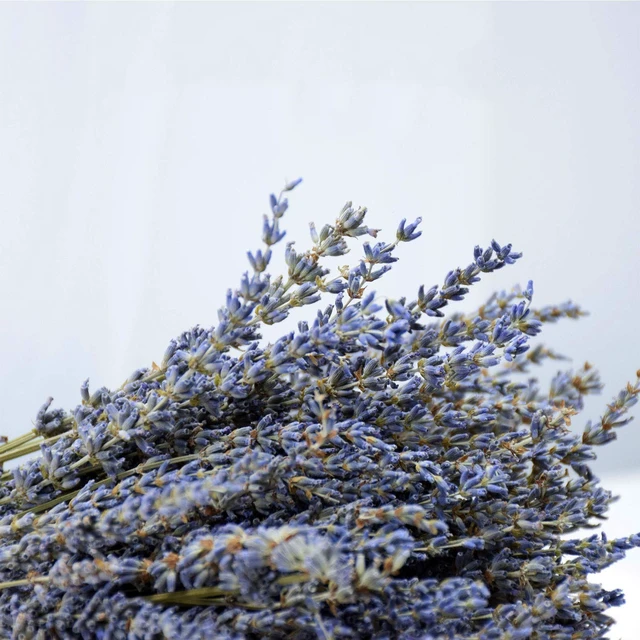 Alt view image 6 of 7 - Dried Lavender Flowers Bundles 200 Stems Dry Lavender Bunch for Home Decor, Crafts, Wedding Bouquets