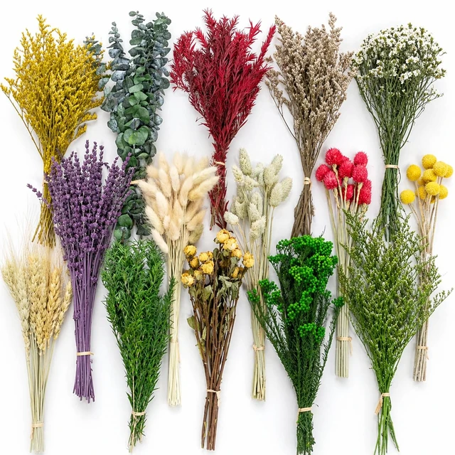 Main image of 15 Types Dried Flower Kit, 110Pcs DIY Mixed Flowers for Crafts | Create Bouquets and Floral Arrangements with Assorted Dried Flowers for Home Decor, Weddings, Gifts and Creative Projects