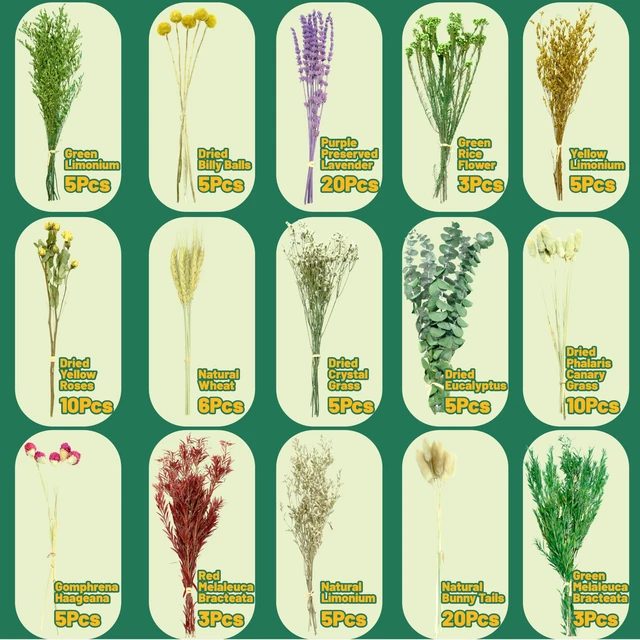 Alt view image 5 of 7 - 15 Types Dried Flower Kit, 110Pcs DIY Mixed Flowers for Crafts | Create Bouquets and Floral Arrangements with Assorted Dried Flowers for Home Decor, Weddings, Gifts and Creative Projects