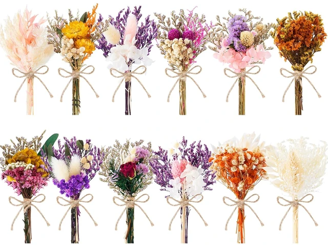 Main image of 12/24 PCS Charming Mini Dried Flowers Bouquet for Vase | Various Dried Wildflowers with Stems Mini Handmade Wildflowers Natural Real Flowers Bulk Flowers Craft (Blossoms, 12 PCS)