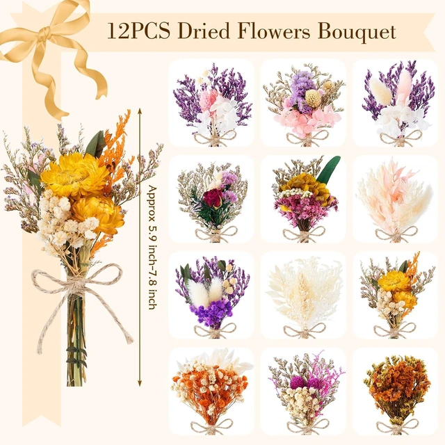 Alt view image 2 of 6 - 12/24 PCS Charming Mini Dried Flowers Bouquet for Vase | Various Dried Wildflowers with Stems Mini Handmade Wildflowers Natural Real Flowers Bulk Flowers Craft (Blossoms, 12 PCS)