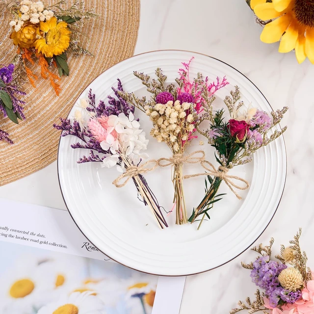 Alt view image 4 of 6 - 12/24 PCS Charming Mini Dried Flowers Bouquet for Vase | Various Dried Wildflowers with Stems Mini Handmade Wildflowers Natural Real Flowers Bulk Flowers Craft (Blossoms, 12 PCS)