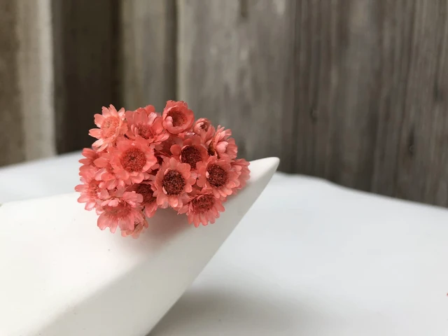 Alt view image 3 of 7 - 100 Stems Natural Dry Flowers Brazilian Small Star Daisy Decorative Dried Flowers Mini Daisy Chamomile Bouquet for Wedding Floral Arrangements Home Decorations (Lotus Color)