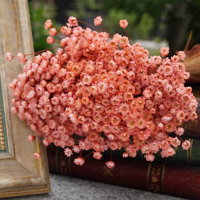 Alt view image 4 of 7 - 100 Stems Natural Dry Flowers Brazilian Small Star Daisy Decorative Dried Flowers Mini Daisy Chamomile Bouquet for Wedding Floral Arrangements Home Decorations (Lotus Color)