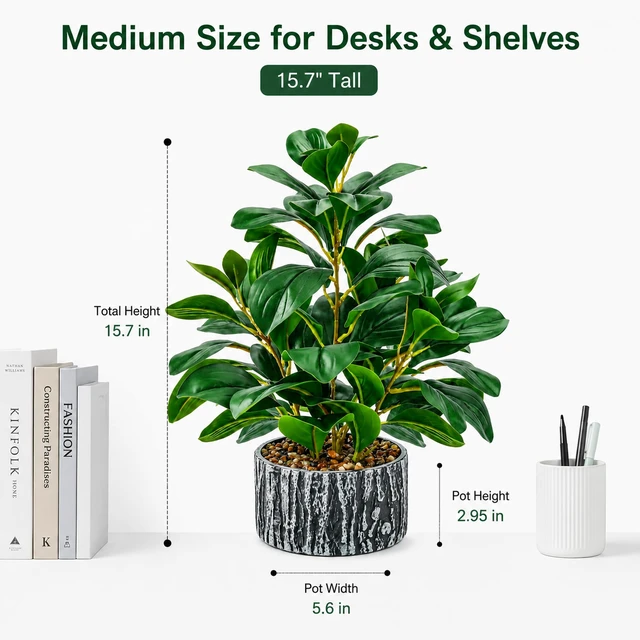 Alt view image 3 of 7 - 15.7" Small Artificial Plant Indoor for Shelf Desk Entryways Decor | Fake plants with round layered leaves and a textured planter bring a full modern organic look to office desk bathroom decor