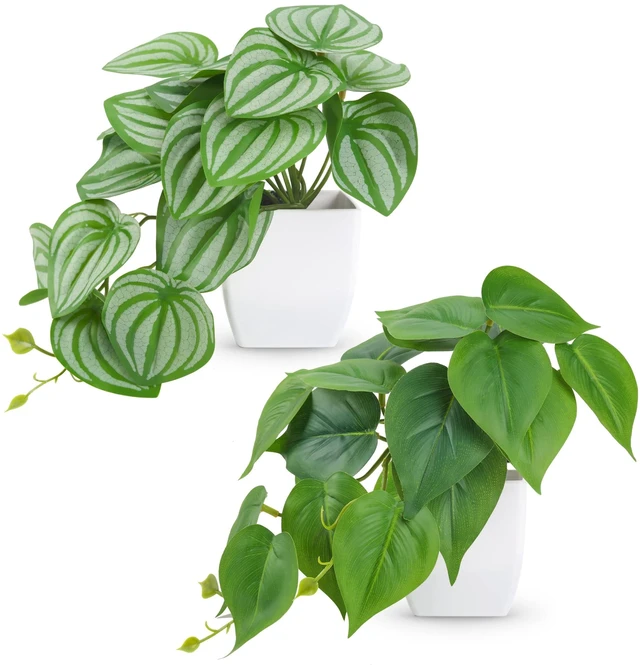 Main image of 2Pcs Small Fake Plants Indoor for Shelves and Bathroom Decor | Mini Artificial Plants Indoor with tropical greenery and trailing leaves for office desk, tabletops and bookshelf decor