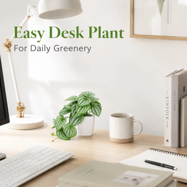 Alt view image 5 of 6 - 2Pcs Small Fake Plants Indoor for Shelves and Bathroom Decor | Mini Artificial Plants Indoor with tropical greenery and trailing leaves for office desk, tabletops and bookshelf decor