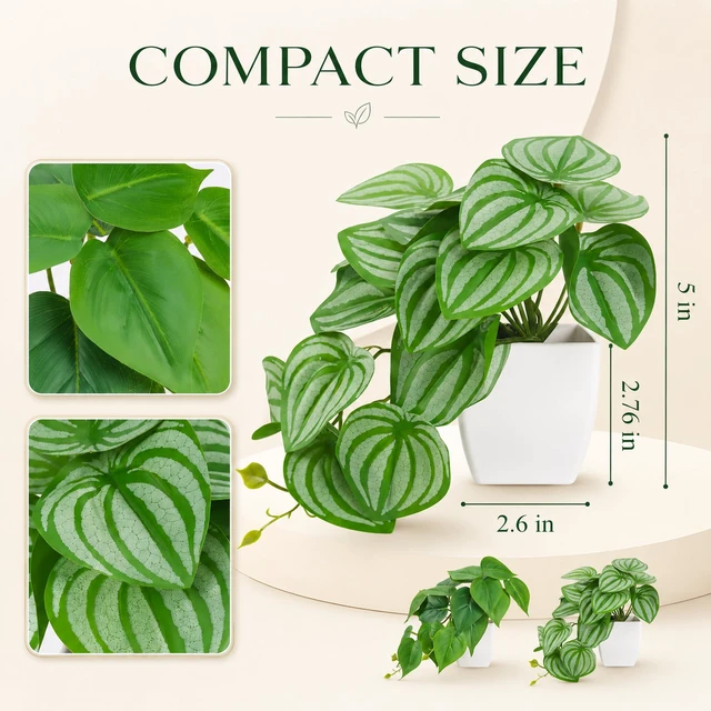 Alt view image 3 of 6 - 2Pcs Small Fake Plants Indoor for Shelves and Bathroom Decor | Mini Artificial Plants Indoor with tropical greenery and trailing leaves for office desk, tabletops and bookshelf decor