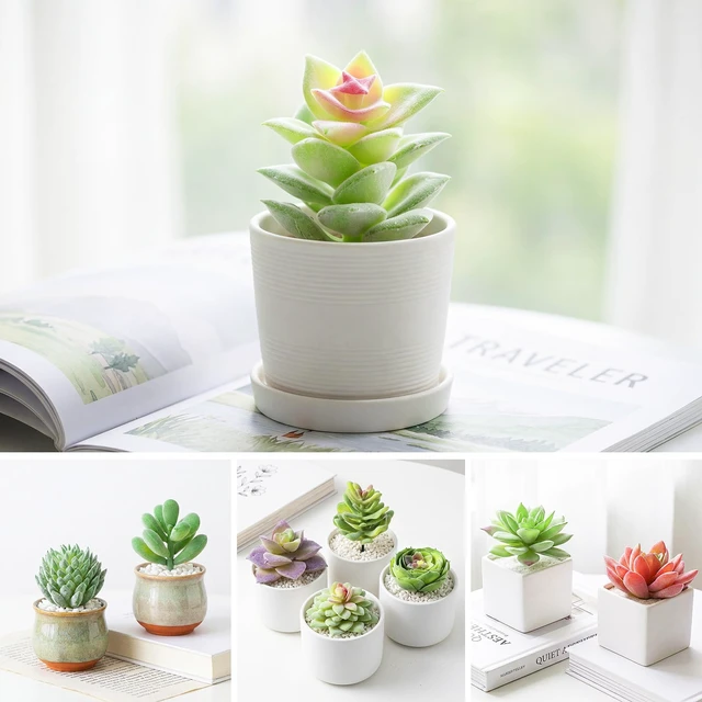 Alt view image 5 of 7 - 12 Pcs Artificial Succulents, Mini Fake Plants Unpotted | Flocked Small Artificial Succulents Assortment, Faux Succulents Floral Decor for Party, Cake, Garden, Outdoor