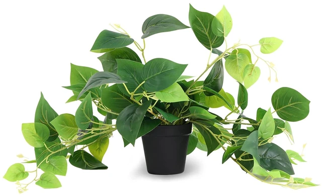 Main image of Artificial Pothos Plant in Pot, 1 Pack for Desk and Shelf Decor | Realistic Faux Greenery, Home Office, Window Sill, Bathroom and Bedroom Accent, No Watering or Daily Care