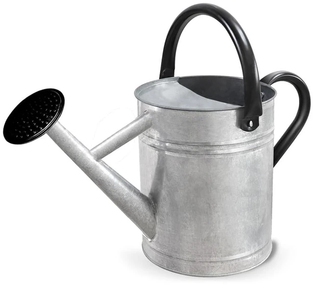 Main image of Metal Watering Can with Removable Spout, Galvanized Steel Plants Water Can for Women, Men and Kids' Outdoor or Indoor Gardening - Nice Flower Watering Pot Gift & Decoration (Zinc, 0.6 Gallon)