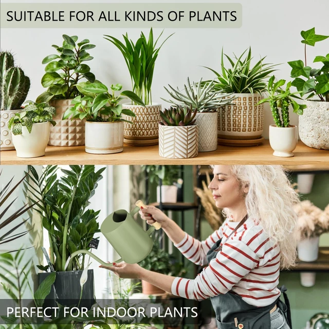 Alt view image 4 of 7 - Watering Can Indoor Plants, 35oz Small Indoor Stainless Steel Metal Watering Can Modern Decorative Watering Pot with Long Spout for Indoor House Plant Bonsai Garden Flowers (Sage Green)