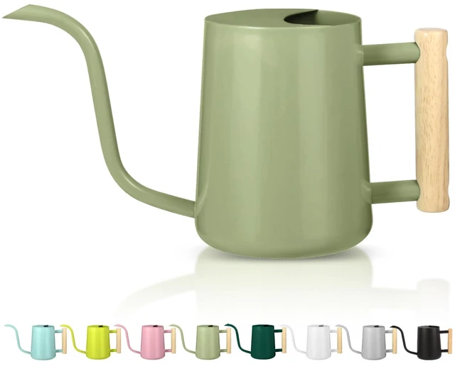 Main image of Watering Can Indoor Plants, 35oz Small Indoor Stainless Steel Metal Watering Can Modern Decorative Watering Pot with Long Spout for Indoor House Plant Bonsai Garden Flowers (Sage Green)
