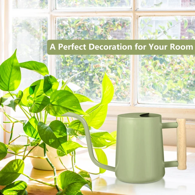 Alt view image 3 of 7 - Watering Can Indoor Plants, 35oz Small Indoor Stainless Steel Metal Watering Can Modern Decorative Watering Pot with Long Spout for Indoor House Plant Bonsai Garden Flowers (Sage Green)