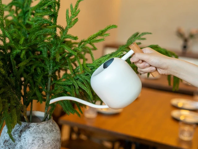 Alt view image 4 of 7 - 1.2L/41oz Metal Metal Watering Can with Long Spout, White | Metal Stainless Steel Watering Can for Indoor Plants, House Bonsai, Succulents, and Garden Flowers, Decorative Watering Cans