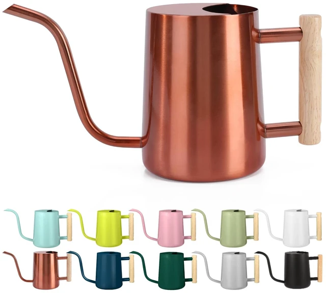 Main image of Watering Can Indoor Plants, 35oz Small Stainless Steel Metal Watering Can Modern Decorative Watering Pot with Long Spout for Indoor House Plant Bonsai Garden Flowers (Copper)