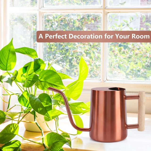 Alt view image 3 of 7 - Watering Can Indoor Plants, 35oz Small Stainless Steel Metal Watering Can Modern Decorative Watering Pot with Long Spout for Indoor House Plant Bonsai Garden Flowers (Copper)