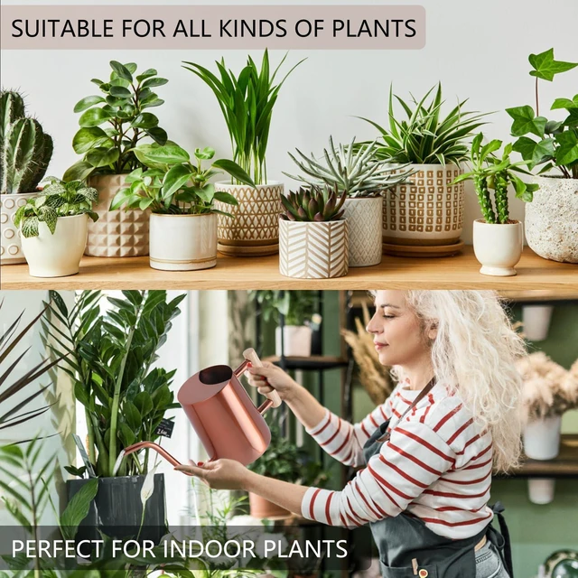 Alt view image 4 of 7 - Watering Can Indoor Plants, 35oz Small Stainless Steel Metal Watering Can Modern Decorative Watering Pot with Long Spout for Indoor House Plant Bonsai Garden Flowers (Copper)