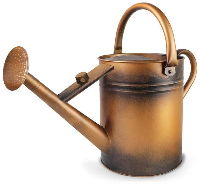 Main image of 1 Gallon Metal Watering Can with Removable Spout, Nice Galvanized Steel Water Can for Indoor and Outdoor Plants (House Plants)