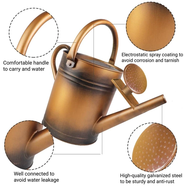 Alt view image 2 of 6 - 1 Gallon Metal Watering Can with Removable Spout, Nice Galvanized Steel Water Can for Indoor and Outdoor Plants (House Plants)