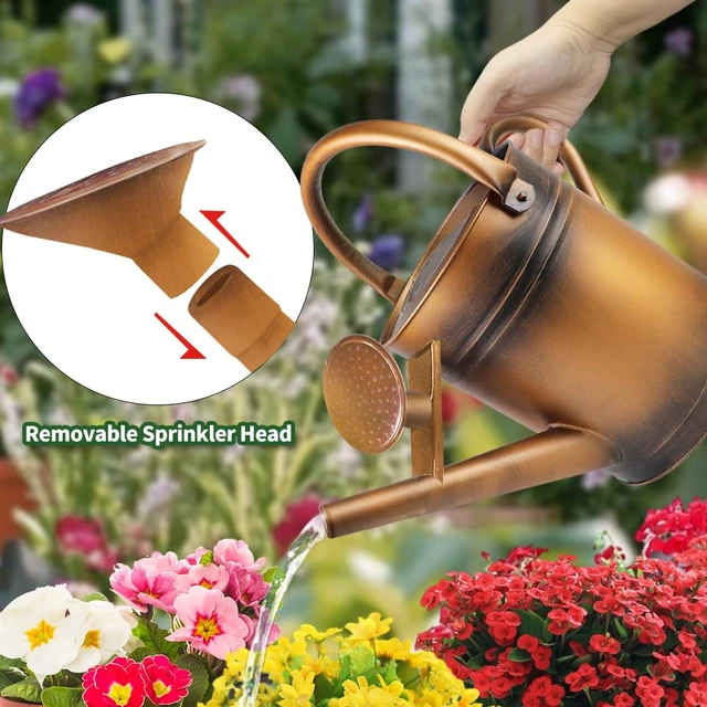 Alt view image 3 of 6 - 1 Gallon Metal Watering Can with Removable Spout, Nice Galvanized Steel Water Can for Indoor and Outdoor Plants (House Plants)