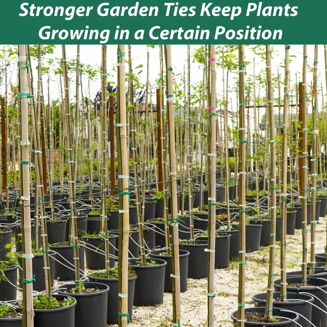 Alt view image 7 of 7 - 100 Feet Soft Tie for Plants, 3 Pack Green Twist Garden Ties Gardening Supplies for Supporting Climbing Plants, Tomatoes, Vegetables, (Diameter - 2.5MM)