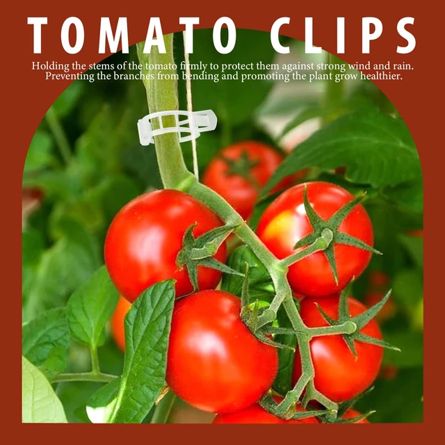 Alt view image 2 of 7 - 300 PCS Plant Support Clips, Plastic Garden Plant Ties, Tomato Clips Trellis for Tomato Cucumber Flower Squash Vine, 1 Inner Diameter for Climbing Plants