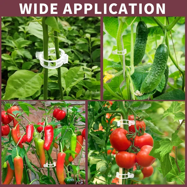 Alt view image 7 of 7 - 300 PCS Plant Support Clips, Plastic Garden Plant Ties, Tomato Clips Trellis for Tomato Cucumber Flower Squash Vine, 1 Inner Diameter for Climbing Plants