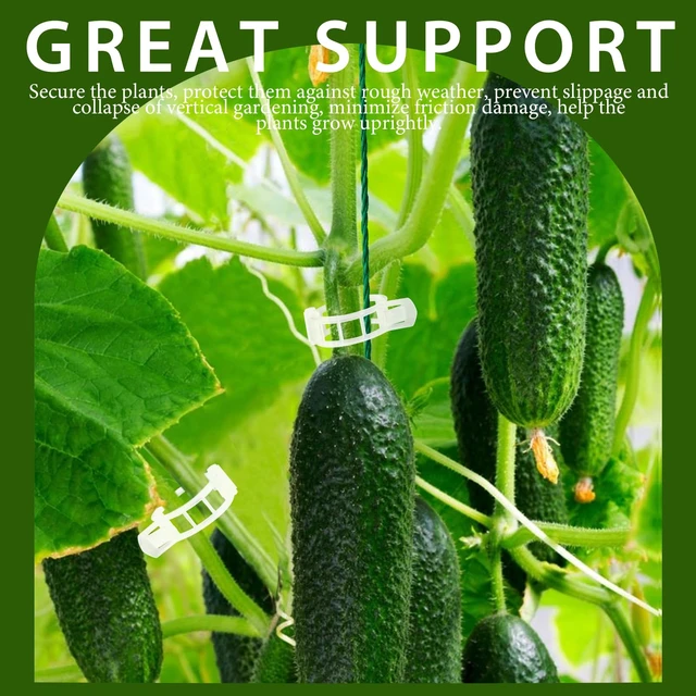 Alt view image 3 of 7 - 300 PCS Plant Support Clips, Plastic Garden Plant Ties, Tomato Clips Trellis for Tomato Cucumber Flower Squash Vine, 1 Inner Diameter for Climbing Plants