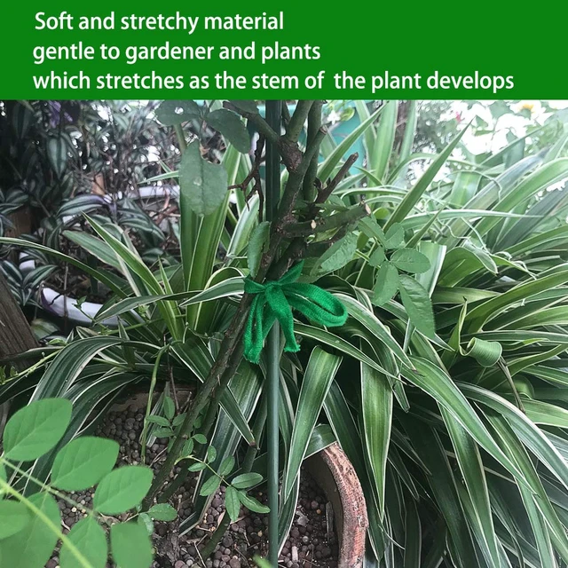 Alt view image 3 of 7 - Plant Ties, 164 Feet 8mm Green Garden Twine for Tomato | Plant String, Gentle on Delicate Stems, Soft and Stretchy, Biodegradable, For Climbing Plants, Roses, and Vines