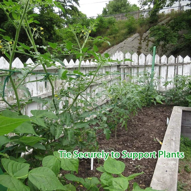 Alt view image 6 of 7 - Plant Ties, 164 Feet 8mm Green Garden Twine for Tomato | Plant String, Gentle on Delicate Stems, Soft and Stretchy, Biodegradable, For Climbing Plants, Roses, and Vines