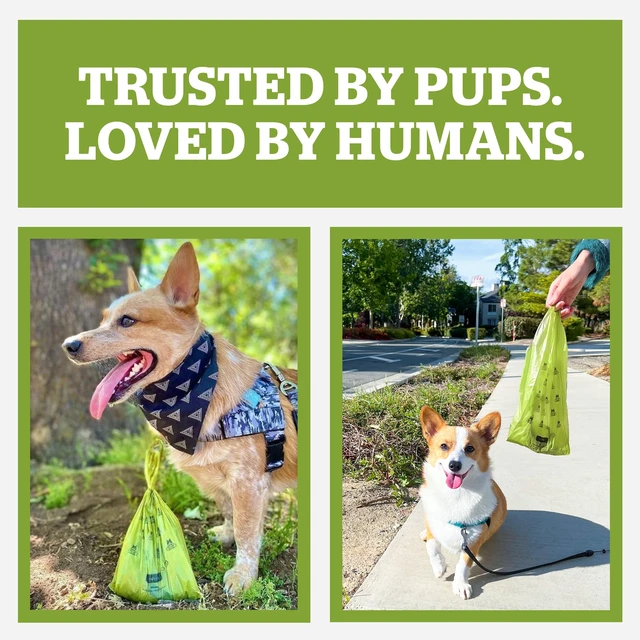 Alt view image 7 of 7 - Dog Poop Bag Holder & Dispenser for Leash, 15 Unscented Bags | Metal carabiner and hook-and-loop strap for your leash. Screw-top cap for easy refills