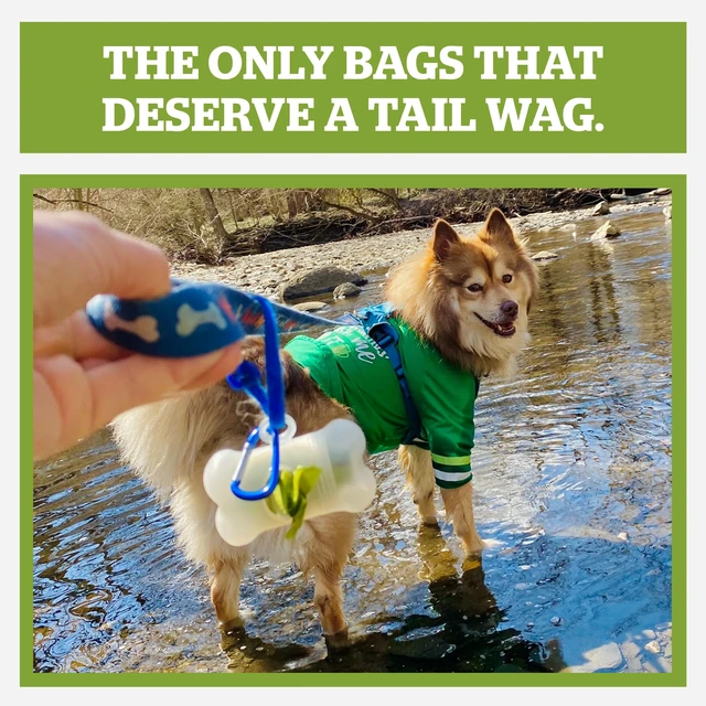 Alt view image 2 of 7 - Dog Poop Bag Holder & Dispenser for Leash, 15 Unscented Bags | Metal carabiner and hook-and-loop strap for your leash. Screw-top cap for easy refills