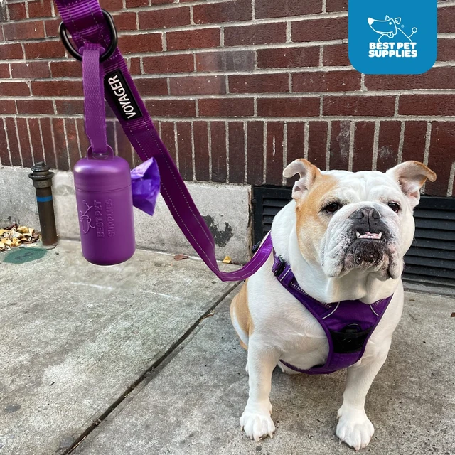 Alt view image 5 of 5 - Dog Poop Bag Holder Leash Attachment with Reusable Dispenser for Travel, Walking, Park, and Outdoor Use, Durable with Clip-On - Black, Pack of 2, Plastic Dispenser w/30 Bags
