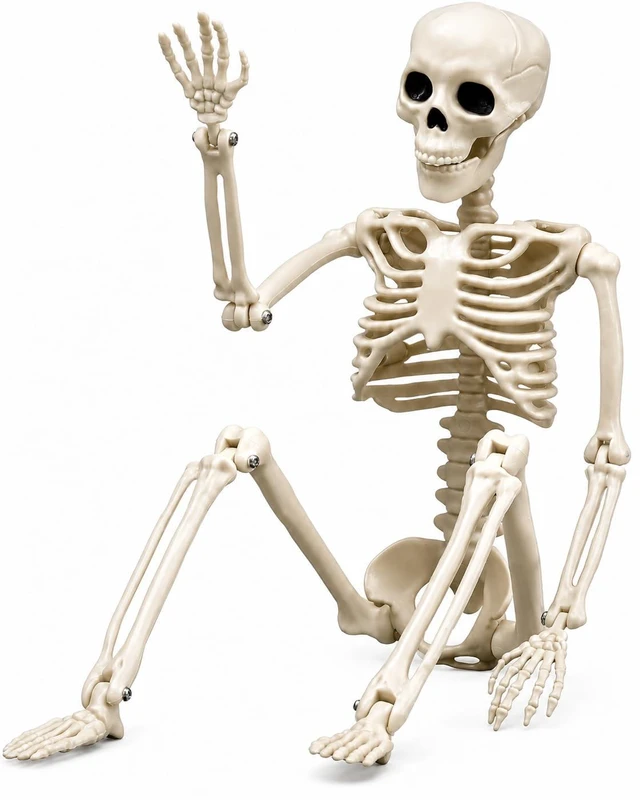 Main image of Halloween Skeleton Decorations, 16" Plastic Full Body Posable Skeleton, Small Hanging Skeleton for Halloween Decor, Graveyard Haunted House Props