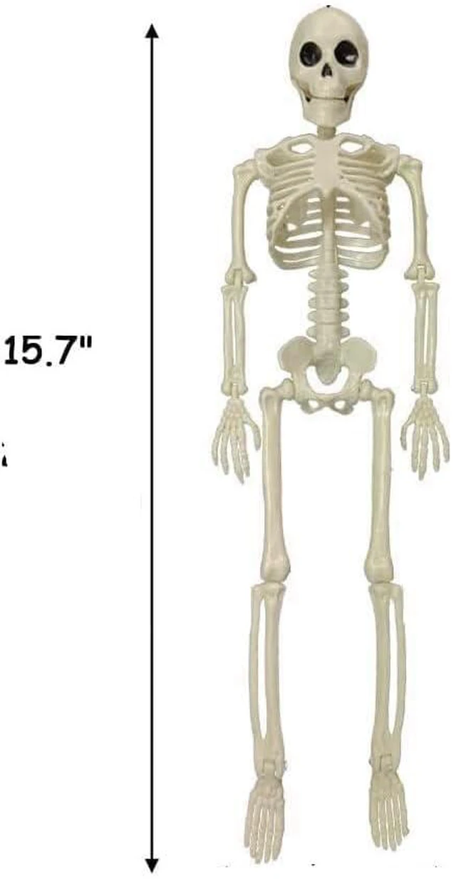 Alt view image 2 of 7 - Halloween Skeleton Decorations, 16" Plastic Full Body Posable Skeleton, Small Hanging Skeleton for Halloween Decor, Graveyard Haunted House Props