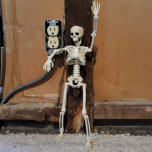 Alt view image 5 of 7 - Halloween Skeleton Decorations, 16" Plastic Full Body Posable Skeleton, Small Hanging Skeleton for Halloween Decor, Graveyard Haunted House Props