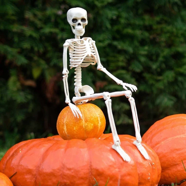 Alt view image 7 of 7 - Halloween Skeleton Decorations, 16" Plastic Full Body Posable Skeleton, Small Hanging Skeleton for Halloween Decor, Graveyard Haunted House Props