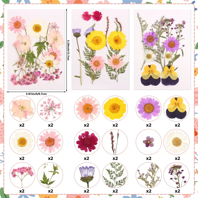 Alt view image 2 of 7 - 36PCS Real Dried Pressed Flowers Cake Toppers Natural Dried Wildflower Baby in Bloom Baby Shower Cake Toppers for Women Birthday Bridal Shower Wedding DIY Floral Party Decoration