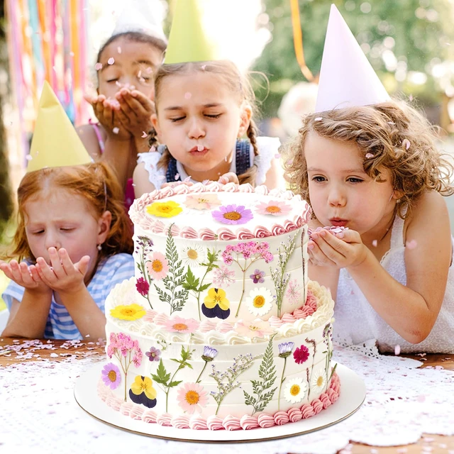 Alt view image 3 of 7 - 36PCS Real Dried Pressed Flowers Cake Toppers Natural Dried Wildflower Baby in Bloom Baby Shower Cake Toppers for Women Birthday Bridal Shower Wedding DIY Floral Party Decoration