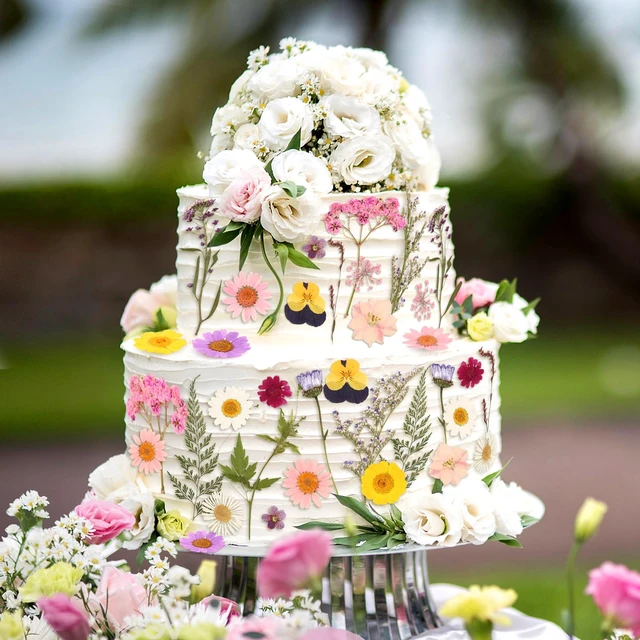 Alt view image 5 of 7 - 36PCS Real Dried Pressed Flowers Cake Toppers Natural Dried Wildflower Baby in Bloom Baby Shower Cake Toppers for Women Birthday Bridal Shower Wedding DIY Floral Party Decoration