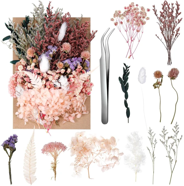 Main image of Real Dried Flowers, Natural Dry Flowers Mixed Natural Pressed Flowers Flores Secas Dried Florals for Crafts,Resin,Candle Making (Multicolor 2)