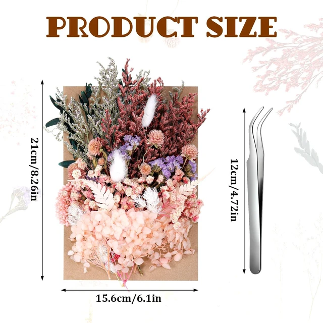 Alt view image 4 of 7 - Real Dried Flowers, Natural Dry Flowers Mixed Natural Pressed Flowers Flores Secas Dried Florals for Crafts,Resin,Candle Making (Multicolor 2)