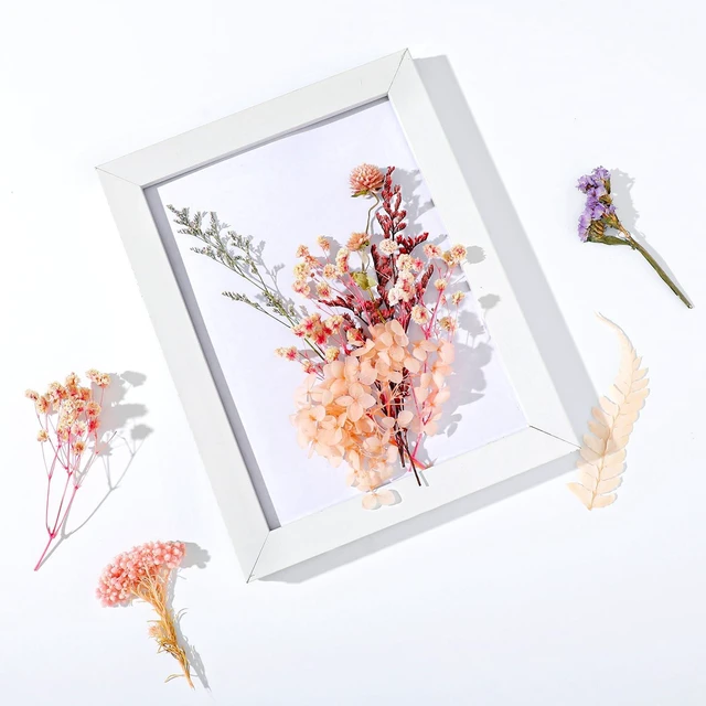 Alt view image 6 of 7 - Real Dried Flowers, Natural Dry Flowers Mixed Natural Pressed Flowers Flores Secas Dried Florals for Crafts,Resin,Candle Making (Multicolor 2)