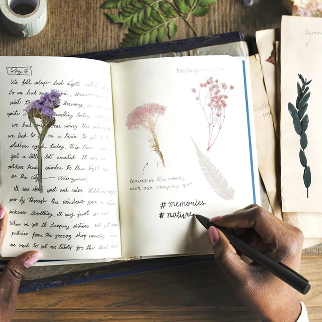 Alt view image 7 of 7 - Real Dried Flowers, Natural Dry Flowers Mixed Natural Pressed Flowers Flores Secas Dried Florals for Crafts,Resin,Candle Making (Multicolor 2)