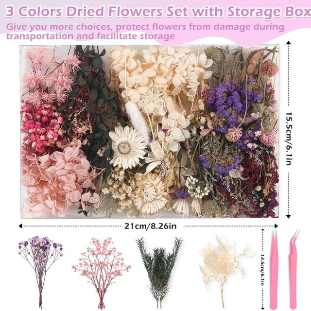 Alt view image 2 of 7 - Real Dried Flowers 100% Natural Dried Flowers, Mixed Colors Dried Leaf Flowers for DIY Arts and Crafts Candles Resin Jewelry Nail Pendant Cards Scrapbooking Wedding Home Decoration