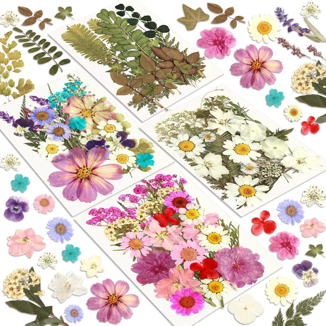 Main image of Dried Flowers, 100Pcs Pressed Flowers for Craft | Real Natural Dried Flowers Dry Leaves Kit for DIY Making Crafts Resin Soap Candle Scrapbook Supplies Card Making Jewelry