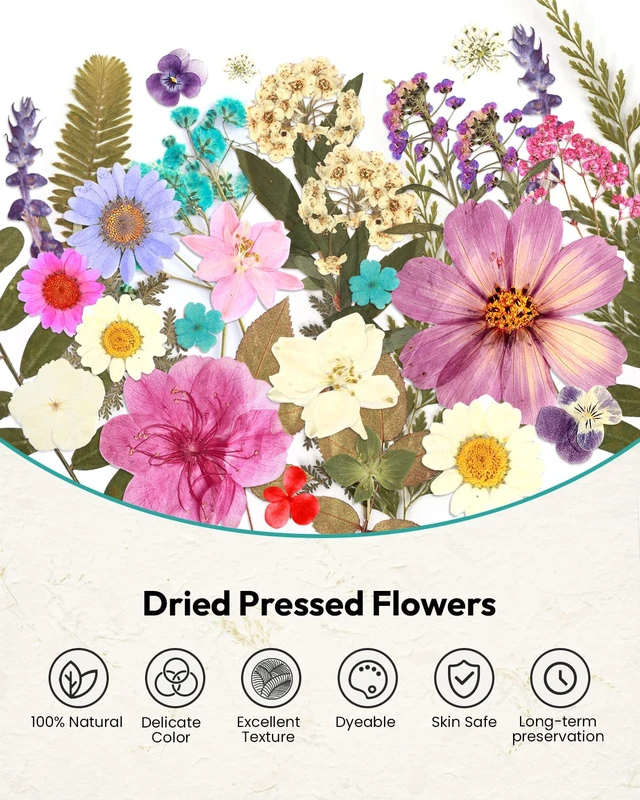 Alt view image 7 of 7 - Dried Flowers, 100Pcs Pressed Flowers for Craft | Real Natural Dried Flowers Dry Leaves Kit for DIY Making Crafts Resin Soap Candle Scrapbook Supplies Card Making Jewelry