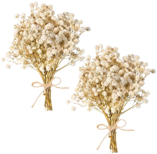 Main image of 2000+ Pure White 6"-7.8" Portable Dried Baby's Breath Bouquet | Mini Gypsophila Flowers, Natural Dried Flowers for Wedding Home Decor DIY Crafts Vase Filler Wreath Card Making