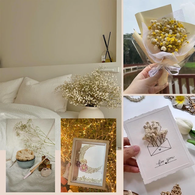 Alt view image 7 of 7 - 2000+ Pure White 6"-7.8" Portable Dried Baby's Breath Bouquet | Mini Gypsophila Flowers, Natural Dried Flowers for Wedding Home Decor DIY Crafts Vase Filler Wreath Card Making